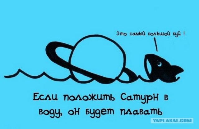 Занимательные факты в картинках