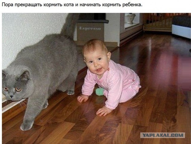 Прикольные пикчи