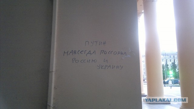 Последнее фото с Вашего телефона.