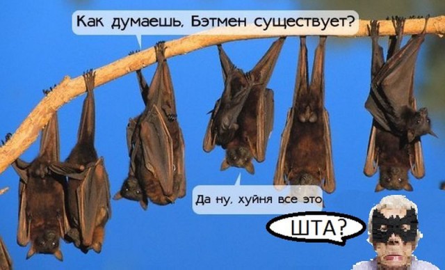 Веселые картинки.