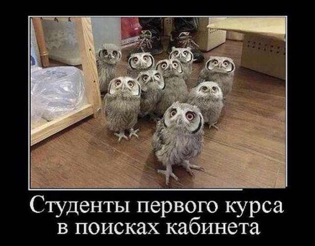 Демотиваторов пост, добавляйте свои