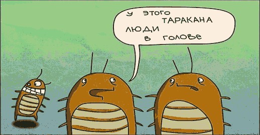 Забавные картинки из интернетов