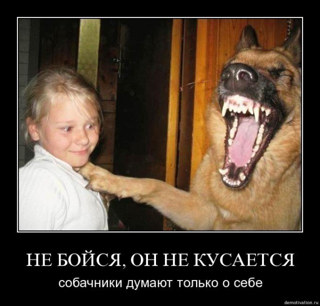 Девчонка и сабаченка