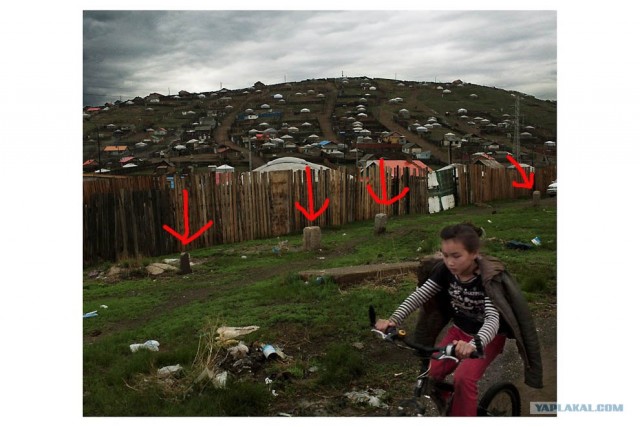 Экономический бум в…Монголии