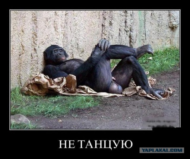 Подборка демотиваторов