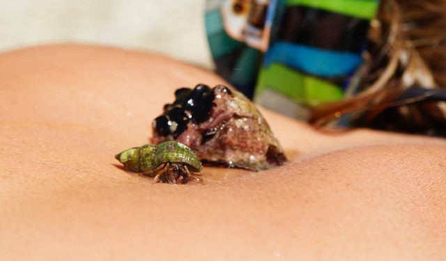 На машине в Абхазию
