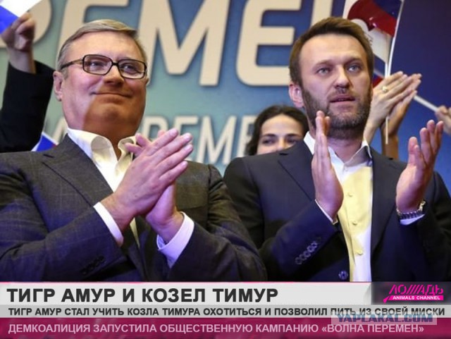 А давайте улыбнёмся