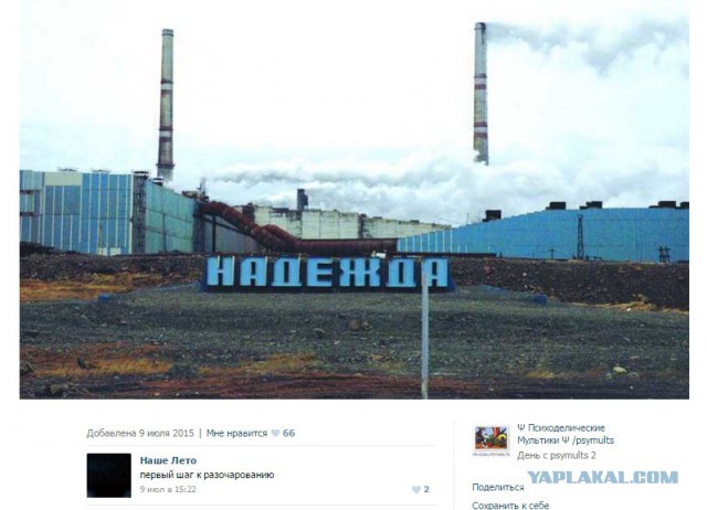 Смешные комментарии  из социальных сетей
