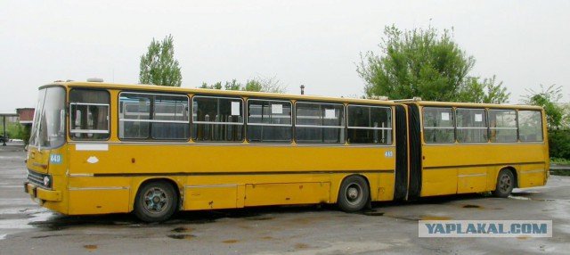 Тест-драйв автобуса Икарус-256