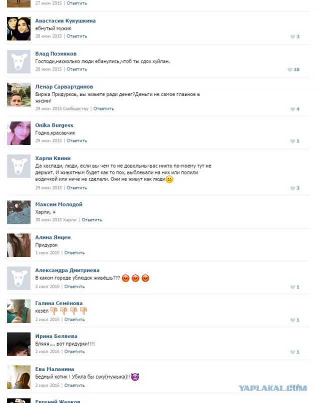 Издевается над котёнком, за деньги
