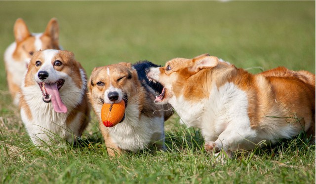 Красивые фото