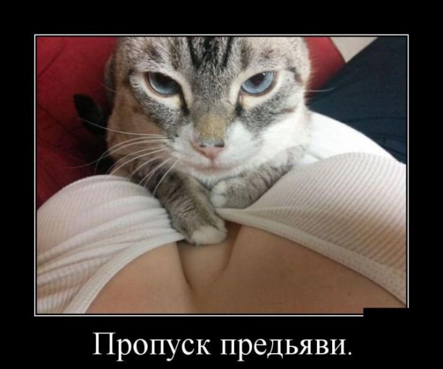 Подборка прикольных фото