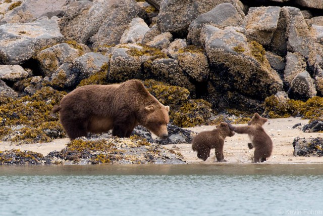 Интересные и веселые картинки
