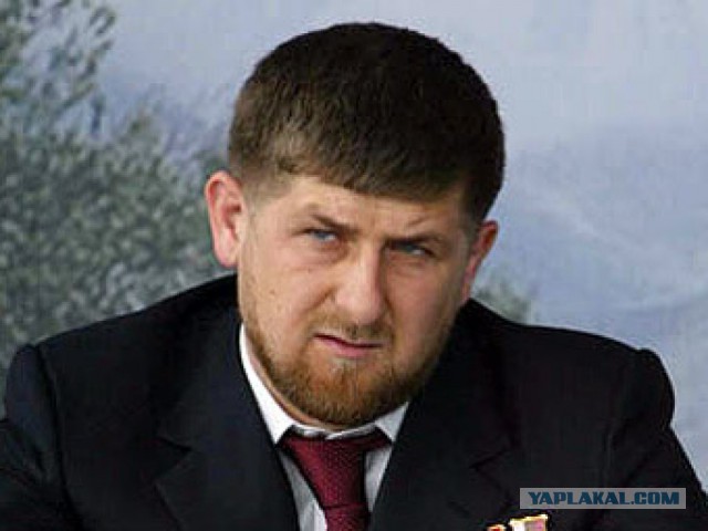 В Северной Осетии СК проверит дочь экс-прокурора за угрозы ножом полицейским