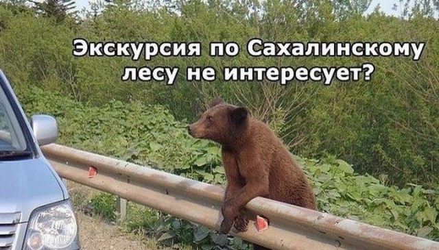 Подборка прикольных фото