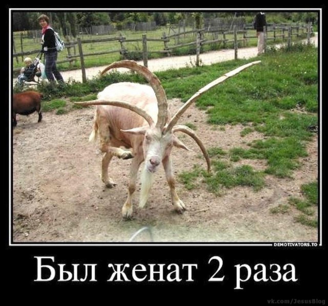 Подслушано