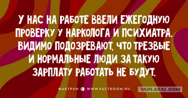 Высказывания из Интернета