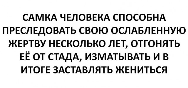 Смешные комментарии из социальных сетей 17.03.2017