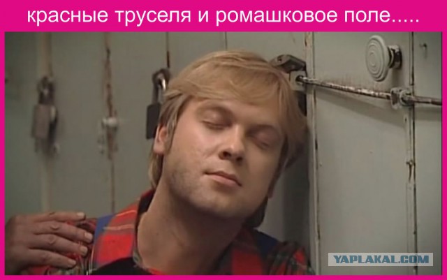 Где купить семейные трусы?