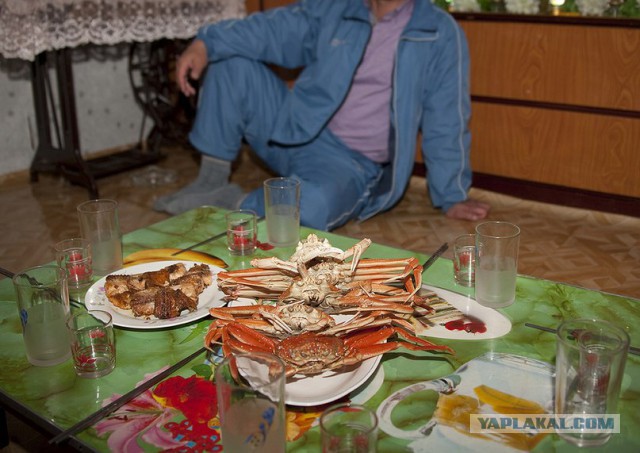 Счастливого Ким Чен Ына запечатлели на фото со свиньями