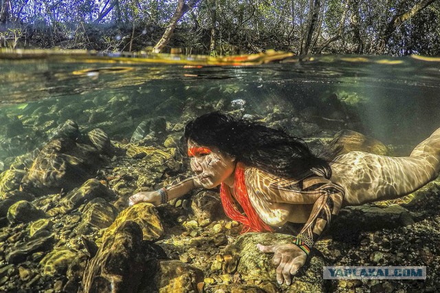 Колоритные снимки затерянного в лесах бразильского племени