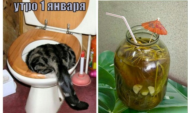 Выжившим в Новогоднюю ночь посвящается…