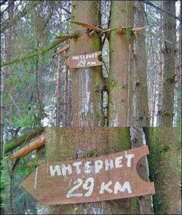Примеры эксцентричной рекламы, которую не скоро забудешь
