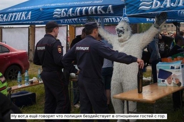Картинки по-приколу