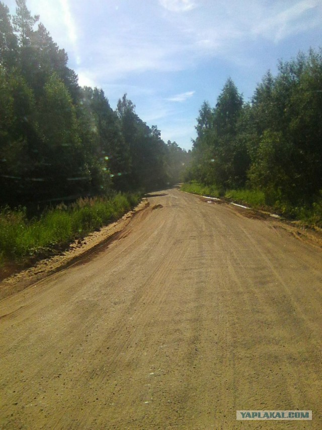 Командировка. В леса