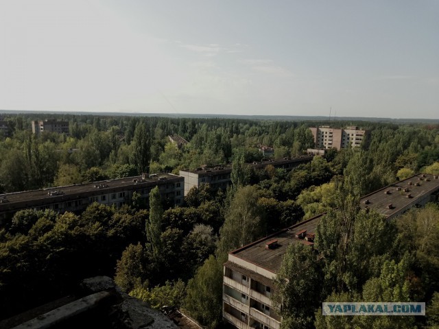 Немного малоизвестных фактов о Чернобыле от человека, который ездил туда четыре раза