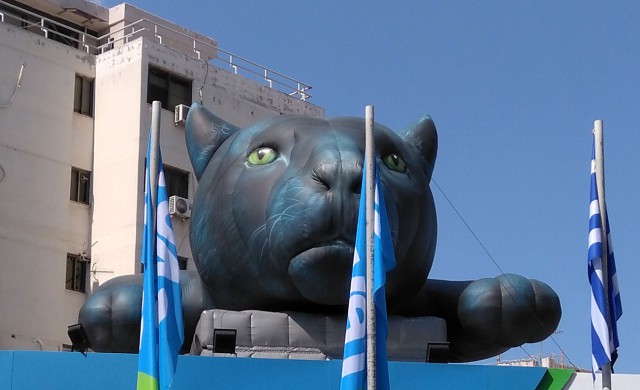 Котовторник 11.09.18.