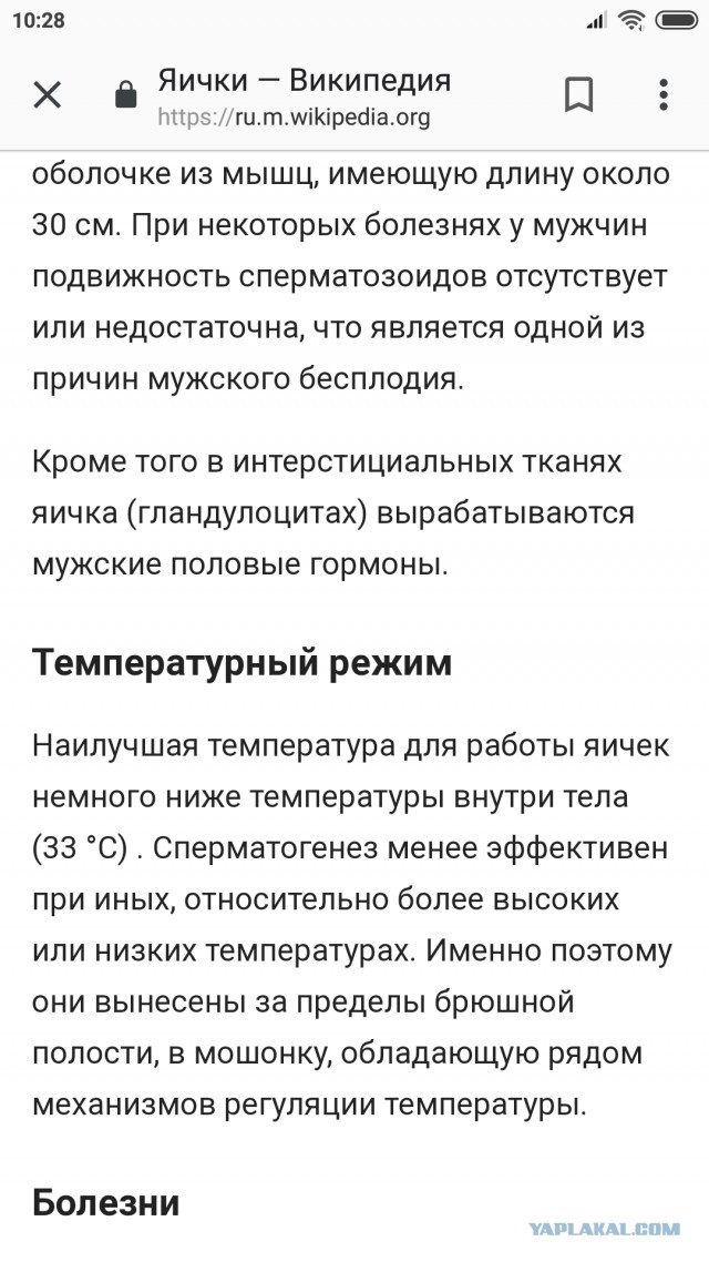 Смешные комментарии из социальных сетей 02.11.2018