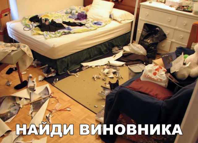 Нестандартный юмор