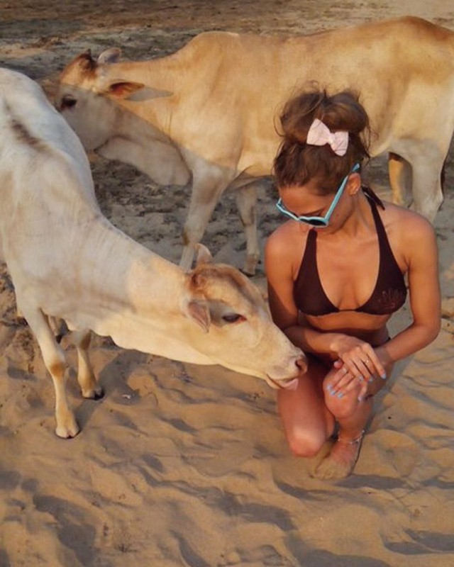 Живность из сети