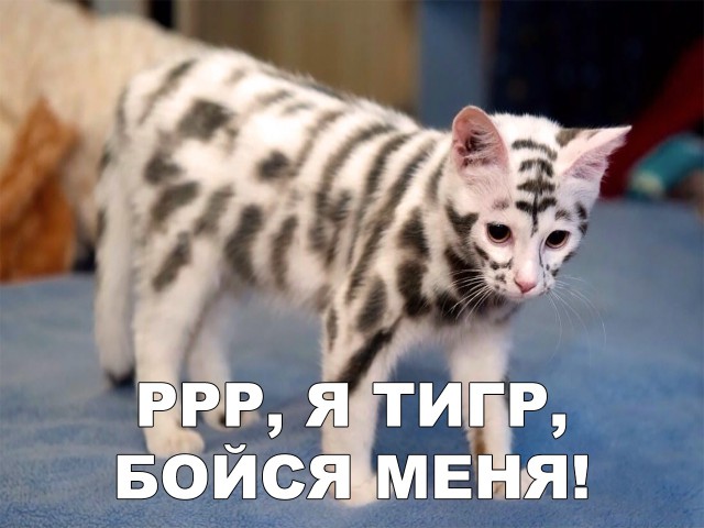 Немного милоты