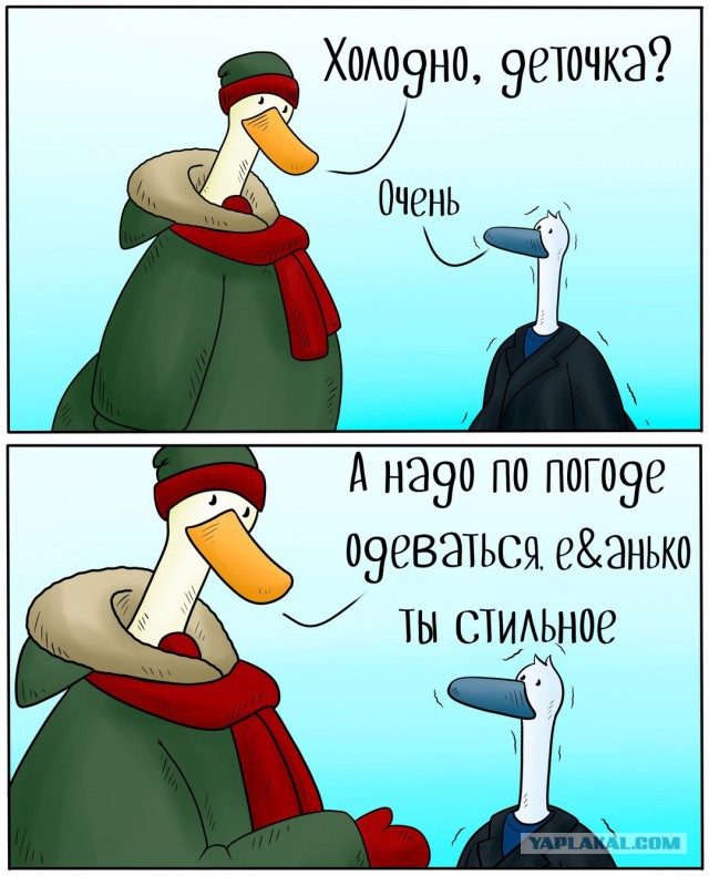 Смешные комментарии из социальных сетей 28.12.2018