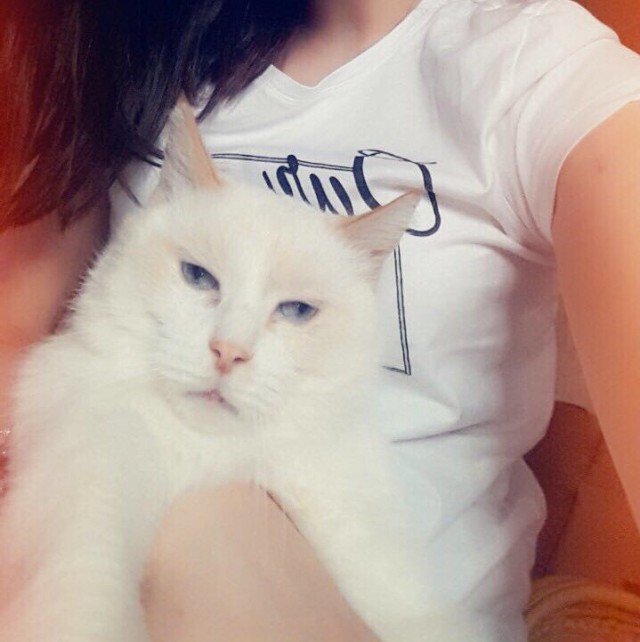 Забавные фото котеек