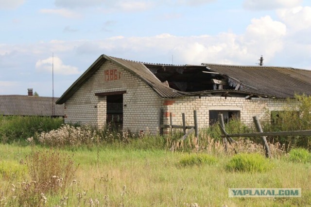Заброшенные деревни Костромской области. Совега