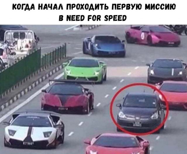 Немного картинок для настроения 24.12.19