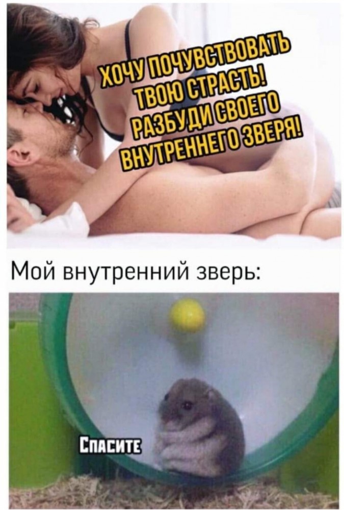 Бредзона 08.02.2020