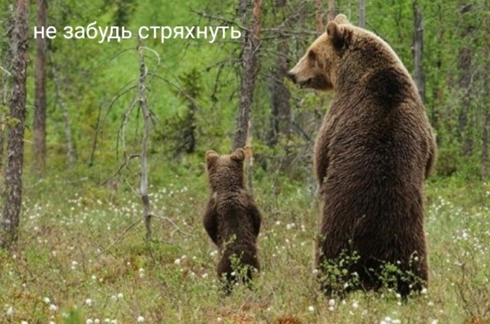 Немного картинок ниочём 22.02.20