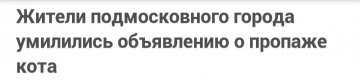 Жители подмосковного города умилились объявлению о пропаже кота