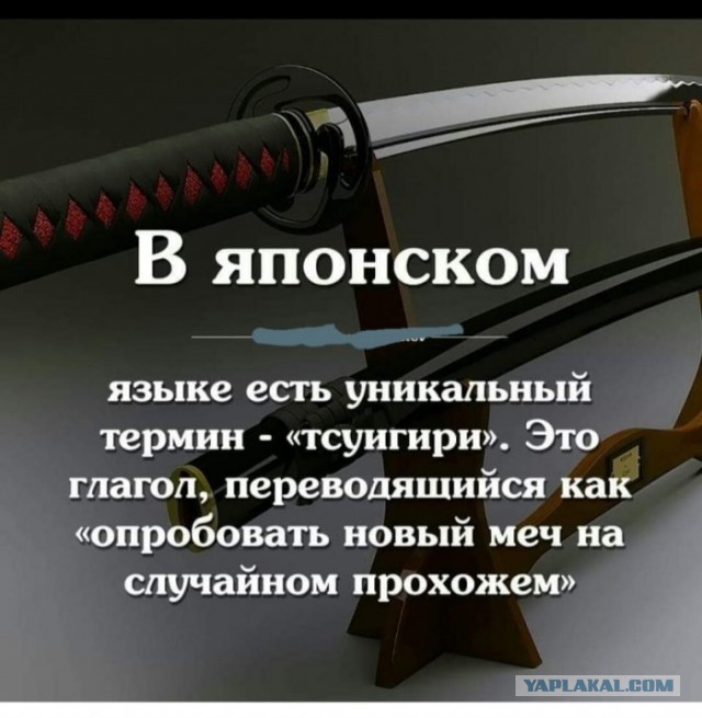 Бредзона 07.03.20