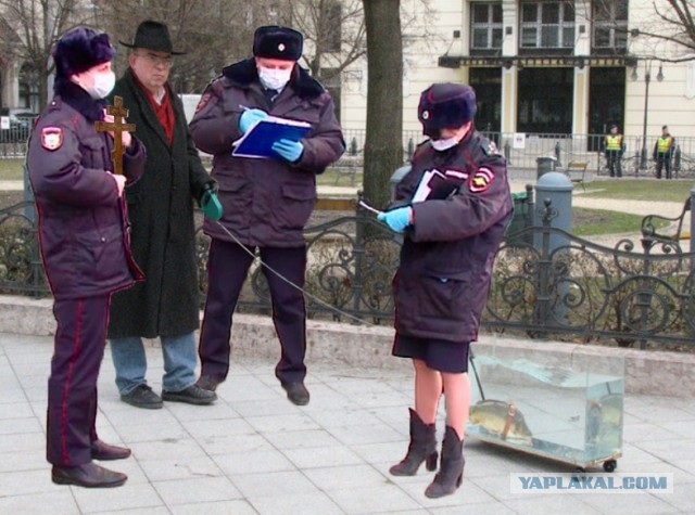 Фотожаба: Полиция штрафует