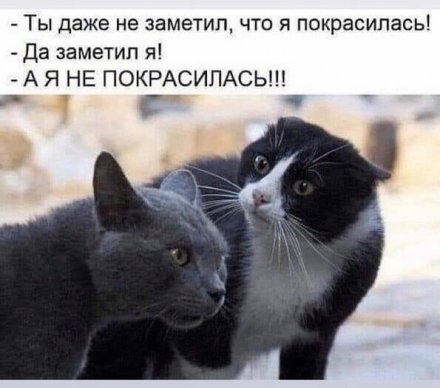Так себе картинки 24.05.20