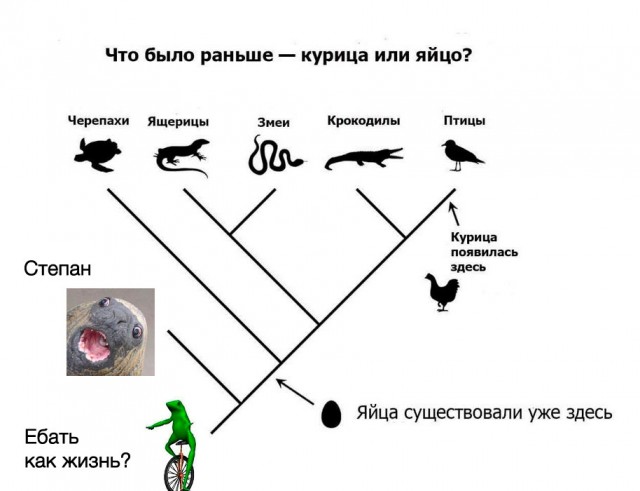 Эй, уважаемый, ну а где же яйца? Терпение, спокойствие, сейчас они появятся