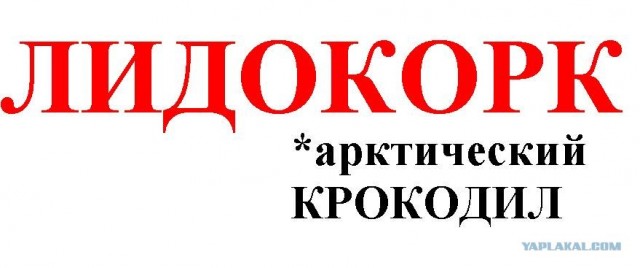 Пишем в обратку!