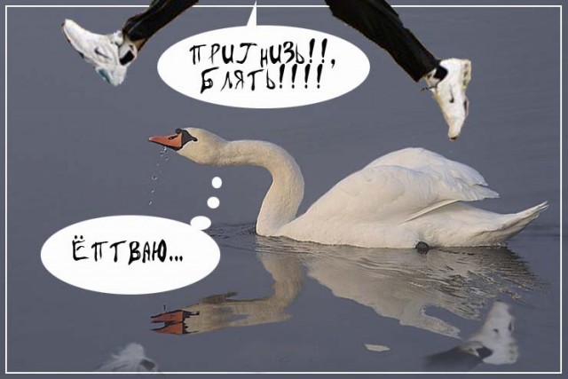 Баскетболист