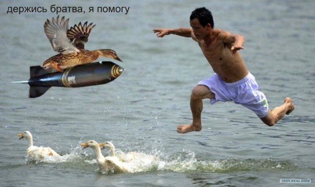 Фотожаба: Поймаю - съем!