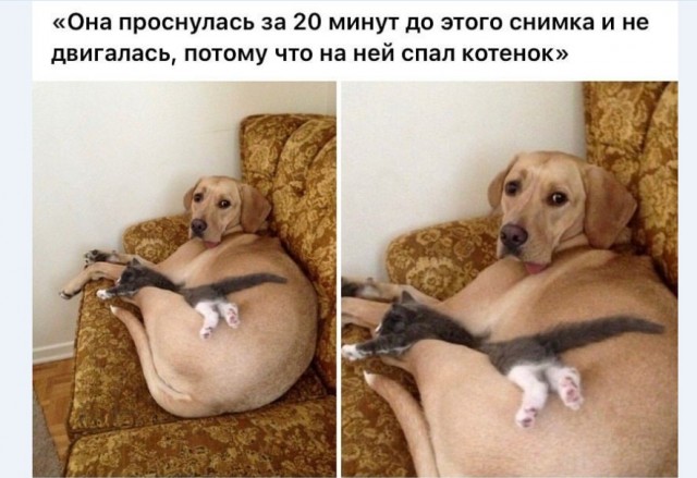 Картинки и мемы для настроения 009